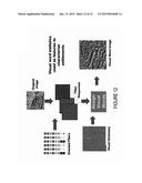 SETTLEMENT MAPPING SYSTEMS diagram and image