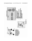 SETTLEMENT MAPPING SYSTEMS diagram and image