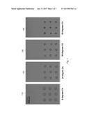 MICRO-SENSOR BASED TEST APPARATUS diagram and image