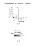 DETECTION AND TREATMENT OF METASTATIC DISEASE diagram and image