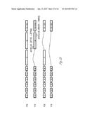 DETECTION AND TREATMENT OF METASTATIC DISEASE diagram and image