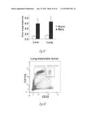 DETECTION AND TREATMENT OF METASTATIC DISEASE diagram and image