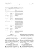 PROSTAGLANDIN E2 DUAL VARIABLE DOMAIN IMMUNOGLOBULINS AND USES THEREOF diagram and image