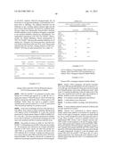 PROSTAGLANDIN E2 DUAL VARIABLE DOMAIN IMMUNOGLOBULINS AND USES THEREOF diagram and image