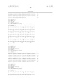 HER3 INHIBITOR FOR MODULATING RADIOSENSITIVITY diagram and image