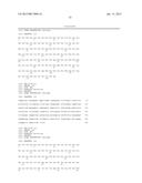 HER3 INHIBITOR FOR MODULATING RADIOSENSITIVITY diagram and image