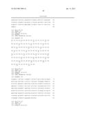 HER3 INHIBITOR FOR MODULATING RADIOSENSITIVITY diagram and image