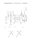 CARRIER THAT TARGETS FUCOSYLATED MOLECULE-PRODUCING CELLS diagram and image