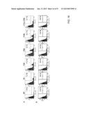 CARRIER THAT TARGETS FUCOSYLATED MOLECULE-PRODUCING CELLS diagram and image