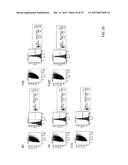 CARRIER THAT TARGETS FUCOSYLATED MOLECULE-PRODUCING CELLS diagram and image