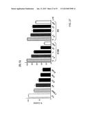 CARRIER THAT TARGETS FUCOSYLATED MOLECULE-PRODUCING CELLS diagram and image