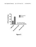 DIAGNOSIS AND TREATMENT FOR RESPIRATORY TRACT DISEASES diagram and image