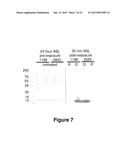 DIAGNOSIS AND TREATMENT FOR RESPIRATORY TRACT DISEASES diagram and image