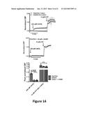 DIAGNOSIS AND TREATMENT FOR RESPIRATORY TRACT DISEASES diagram and image