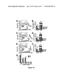 DIAGNOSIS AND TREATMENT FOR RESPIRATORY TRACT DISEASES diagram and image