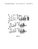 DIAGNOSIS AND TREATMENT FOR RESPIRATORY TRACT DISEASES diagram and image