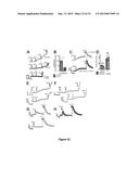 DIAGNOSIS AND TREATMENT FOR RESPIRATORY TRACT DISEASES diagram and image