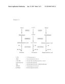 ORAL PREPARATION USEFUL IN MEASURING CAPACITY TO METABOLIZE PYRIDINE diagram and image