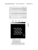 COBALT-BASED MRI CONTRAST AGENT AND IMAGING SYSTEM diagram and image