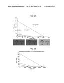 POLYMERS HAVING THERAPEUTICALLY ACTIVE AGENTS CONJUGATED THERETO,     PROCESSES OF PREPARING SAME AND USES THEREOF diagram and image