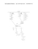 POLYMERS HAVING THERAPEUTICALLY ACTIVE AGENTS CONJUGATED THERETO,     PROCESSES OF PREPARING SAME AND USES THEREOF diagram and image