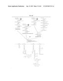 POLYMERS HAVING THERAPEUTICALLY ACTIVE AGENTS CONJUGATED THERETO,     PROCESSES OF PREPARING SAME AND USES THEREOF diagram and image