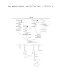 POLYMERS HAVING THERAPEUTICALLY ACTIVE AGENTS CONJUGATED THERETO,     PROCESSES OF PREPARING SAME AND USES THEREOF diagram and image