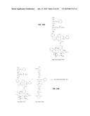 POLYMERS HAVING THERAPEUTICALLY ACTIVE AGENTS CONJUGATED THERETO,     PROCESSES OF PREPARING SAME AND USES THEREOF diagram and image