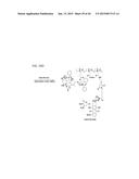 POLYMERS HAVING THERAPEUTICALLY ACTIVE AGENTS CONJUGATED THERETO,     PROCESSES OF PREPARING SAME AND USES THEREOF diagram and image