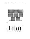 POLYMERS HAVING THERAPEUTICALLY ACTIVE AGENTS CONJUGATED THERETO,     PROCESSES OF PREPARING SAME AND USES THEREOF diagram and image