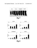 SYNERGISTIC TUMOR TREATMENT WITH EXTENDED-PK IL-2 AND ADOPTIVE CELL     THERAPY diagram and image