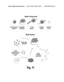 SYNERGISTIC TUMOR TREATMENT WITH EXTENDED-PK IL-2 AND ADOPTIVE CELL     THERAPY diagram and image