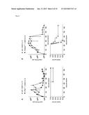 COMBINATION MEDICAMENT COMPRISING IL-12 AND AN AGENT FOR BLOCKADE OF     T-CELL INHIBITORY MOLECULES FOR TUMOUR THERAPY diagram and image