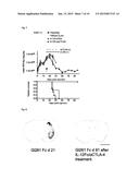 COMBINATION MEDICAMENT COMPRISING IL-12 AND AN AGENT FOR BLOCKADE OF     T-CELL INHIBITORY MOLECULES FOR TUMOUR THERAPY diagram and image