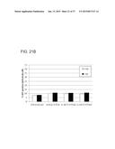 SELECTIVE CELL TARGETING USING ADENOVIRUS AND CHEMICAL DIMERS diagram and image