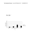 SELECTIVE CELL TARGETING USING ADENOVIRUS AND CHEMICAL DIMERS diagram and image