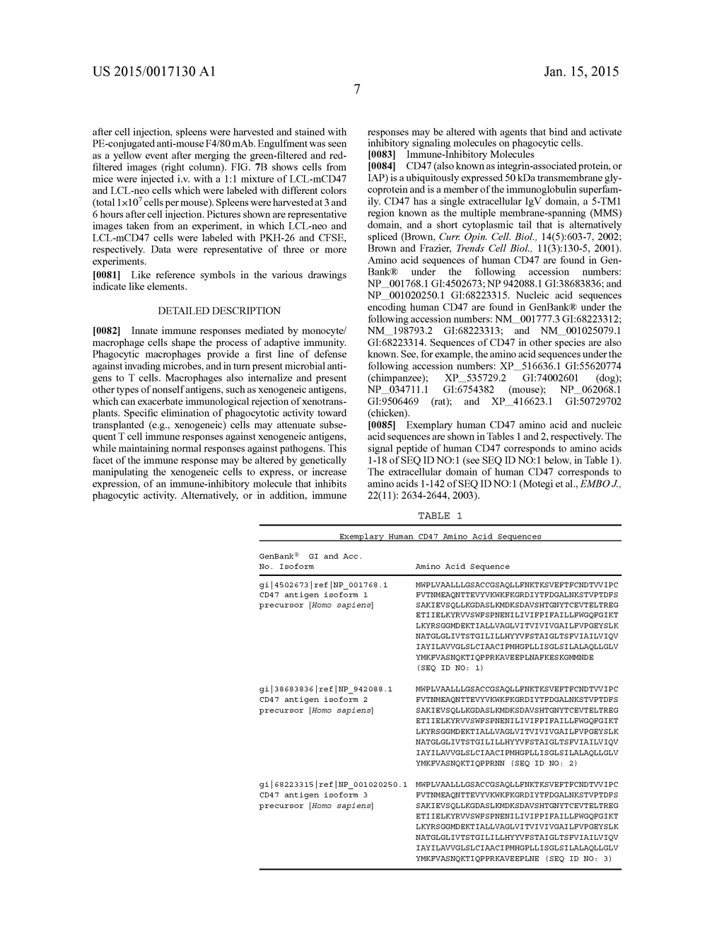 METHODS AND COMPOSITIONS FOR INHIBITION OF IMMUNE RESPONSES - diagram, schematic, and image 15