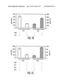 Mesenchymal Stem Cells and Uses Therefor diagram and image