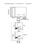 Mesenchymal Stem Cells and Uses Therefor diagram and image