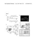 EMT-INDUCING TRANSCRIPTION FACTORS COOPERATE WITH SOX9 diagram and image