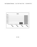 IN VITRO DIFFERENTIATION OF PLURIPOTENT STEM CELLS TO PANCREATIC ENDODERM     CELLS (PEC) AND ENDOCRINE CELLS diagram and image