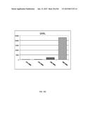 IN VITRO DIFFERENTIATION OF PLURIPOTENT STEM CELLS TO PANCREATIC ENDODERM     CELLS (PEC) AND ENDOCRINE CELLS diagram and image