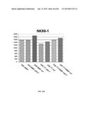 IN VITRO DIFFERENTIATION OF PLURIPOTENT STEM CELLS TO PANCREATIC ENDODERM     CELLS (PEC) AND ENDOCRINE CELLS diagram and image