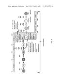 IN VITRO DIFFERENTIATION OF PLURIPOTENT STEM CELLS TO PANCREATIC ENDODERM     CELLS (PEC) AND ENDOCRINE CELLS diagram and image