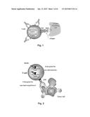 METHODS FOR ENGINEERING ALLOGENEIC AND HIGHLY ACTIVE T CELL FOR     IMMUNOTHERAPY diagram and image