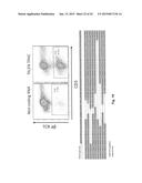 METHODS FOR ENGINEERING ALLOGENEIC AND HIGHLY ACTIVE T CELL FOR     IMMUNOTHERAPY diagram and image