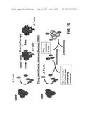 DRUG RESISTANT IMMUNOTHERAPY FOR TREATMENT OF A CANCER diagram and image