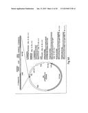 BACTERIAL MEDIATED THF ALPHA GENE SILENCING diagram and image