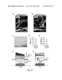 Methods of Generating Neural Stem Cells diagram and image