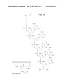 Methods for Treating or Preventing Ophthalmological Conditions diagram and image